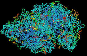 Polymers Concepts , Properties, Uses & Sustainability: Part 1