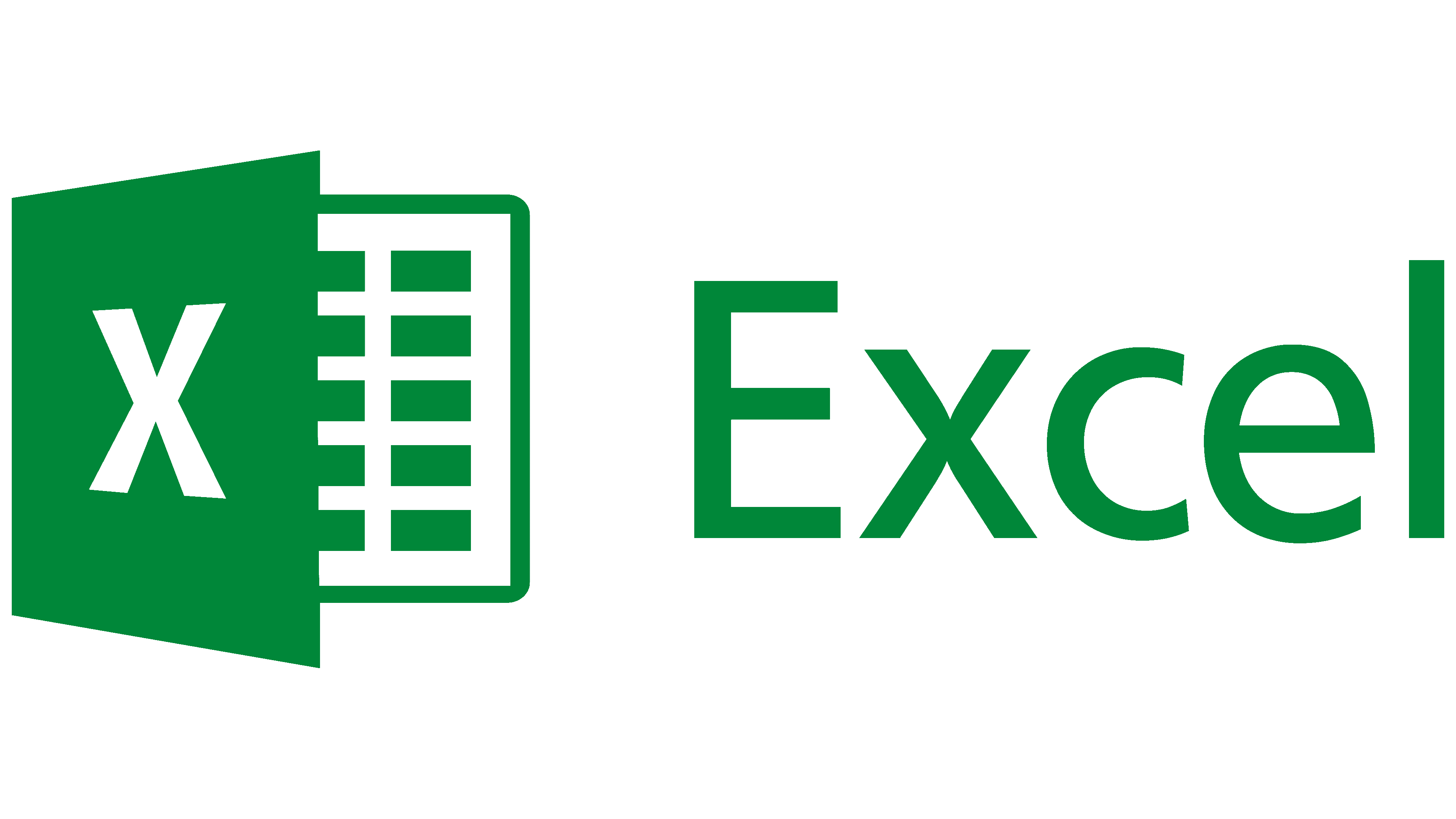 MS Excel Basic Training Course for Beginners and Students