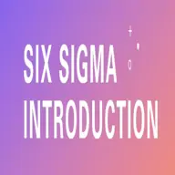 Six sigma banner.png