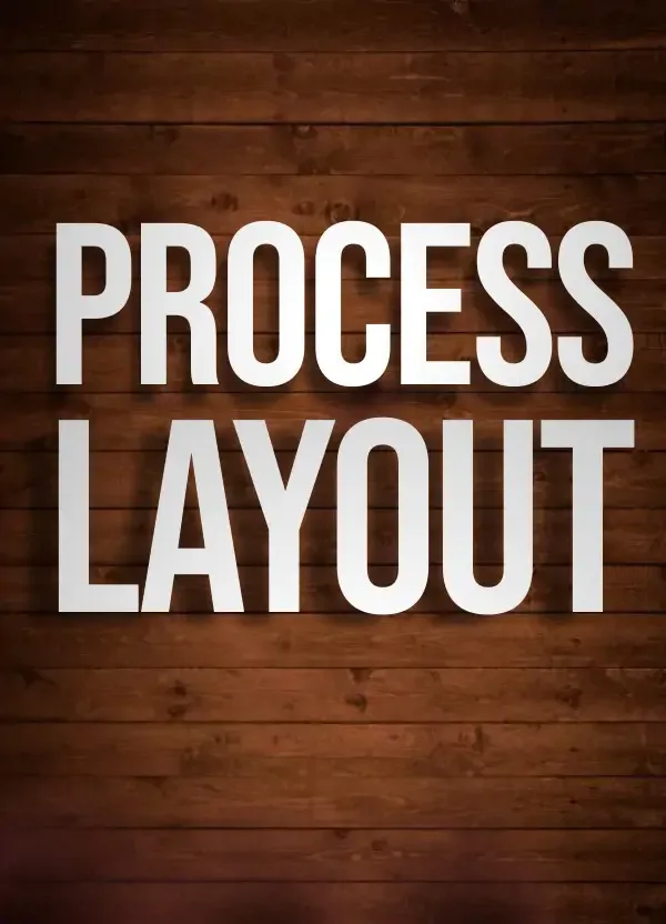 PROCESS LAYOUT banner