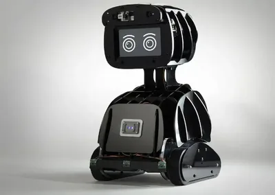 Future of Mobile Robotics