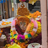 Niraj pal Meena