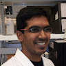 Deepak Salunke