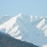 Mitra 